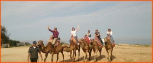 Marrakech 2 days trip to Zagora desert,2 Days Zagora camel trekking tour Marrakech 2 days trip to Zagora desert,2 Days Zagora camel trekking tour