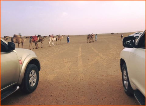 private tour from Marrakech in Morocco to desert in Zagora private tour from Marrakech in Morocco to desert in Zagora